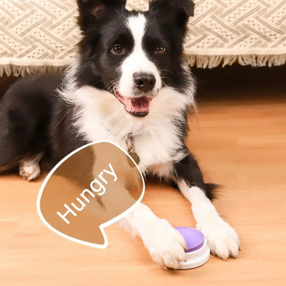 Pet Voice Recording Training Button