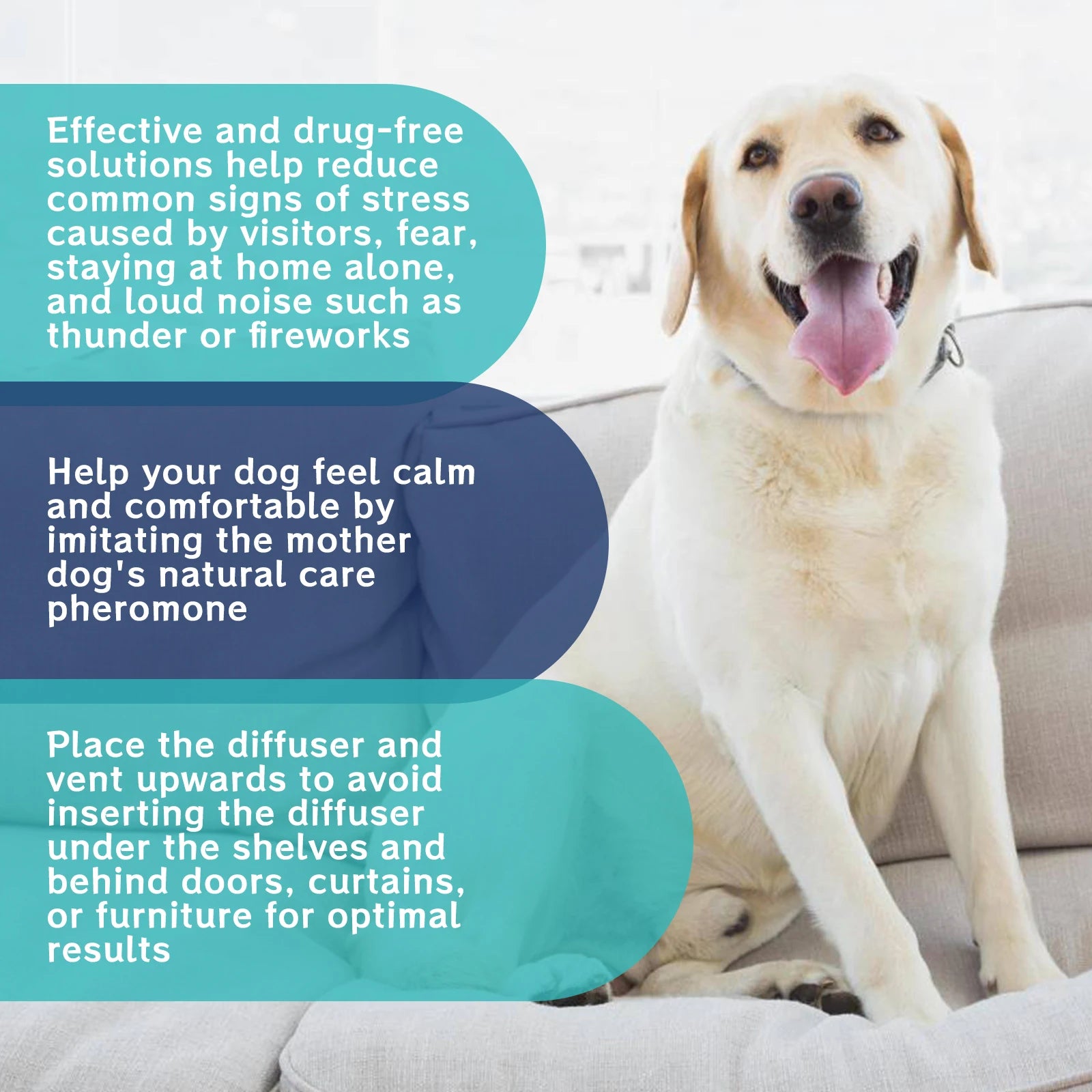 Pet Calming Care Liquid
