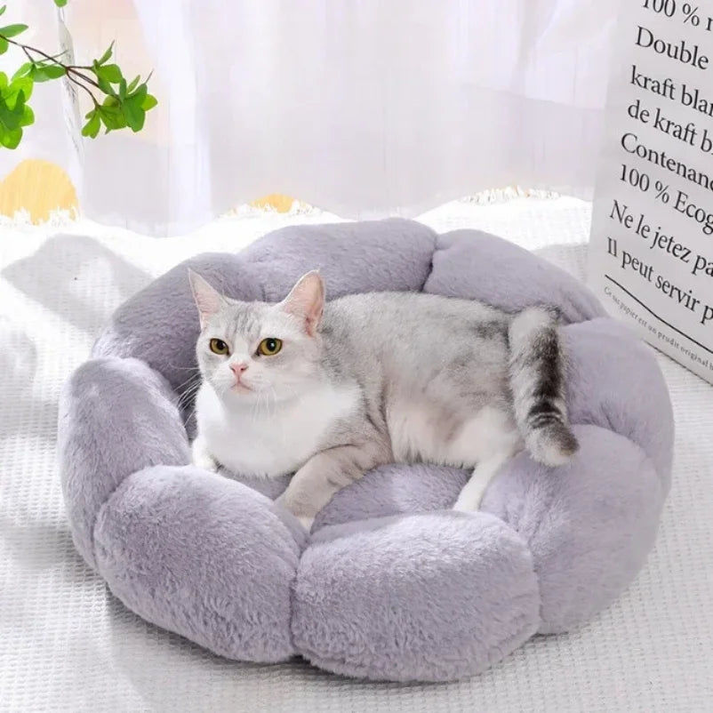 Flower-Shaped Cozy Pet Bed