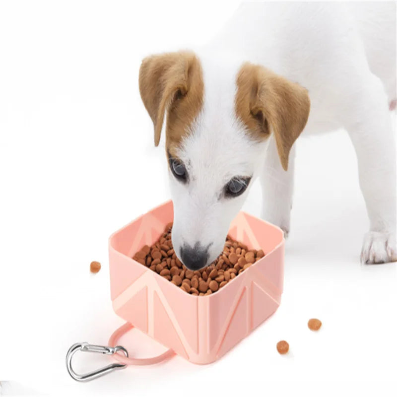 Portable Foldable Pet Travel Bowl