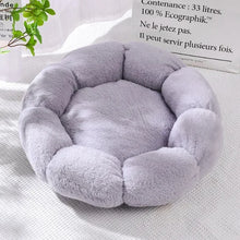 Flower-Shaped Cozy Pet Bed