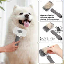One-Click Pet Massage Brush
