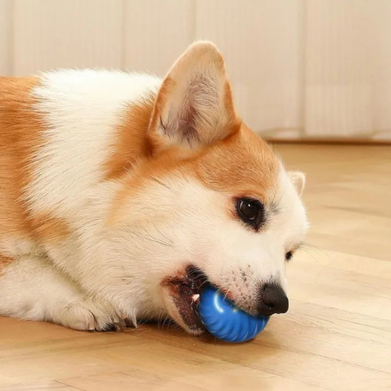 Smart Interactive Moving Pet Ball