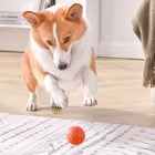 Smart Interactive Moving Pet Ball