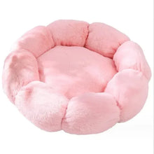 Flower-Shaped Cozy Pet Bed