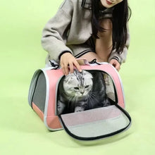 Portable Breathable Pet Travel Carrier Bag
