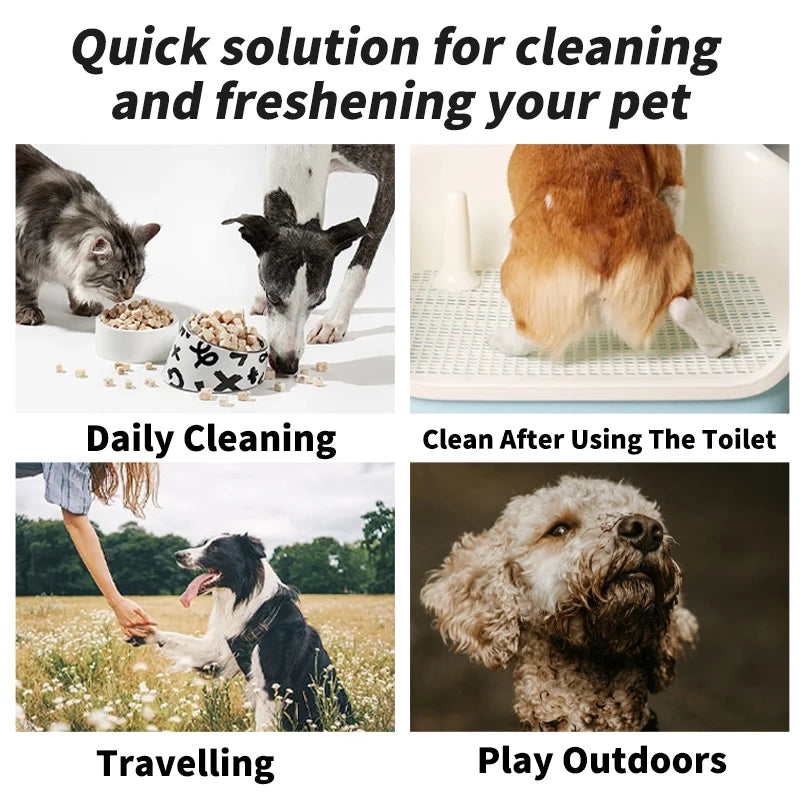 Disposable Pet Cleaning Wipes