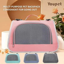 Portable Breathable Pet Travel Carrier Bag