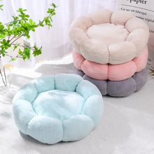 Flower-Shaped Cozy Pet Bed