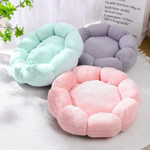 Flower-Shaped Cozy Pet Bed
