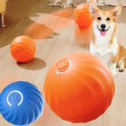 Smart Interactive Moving Pet Ball