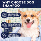 Pet Skin & Hair Care Shampoo