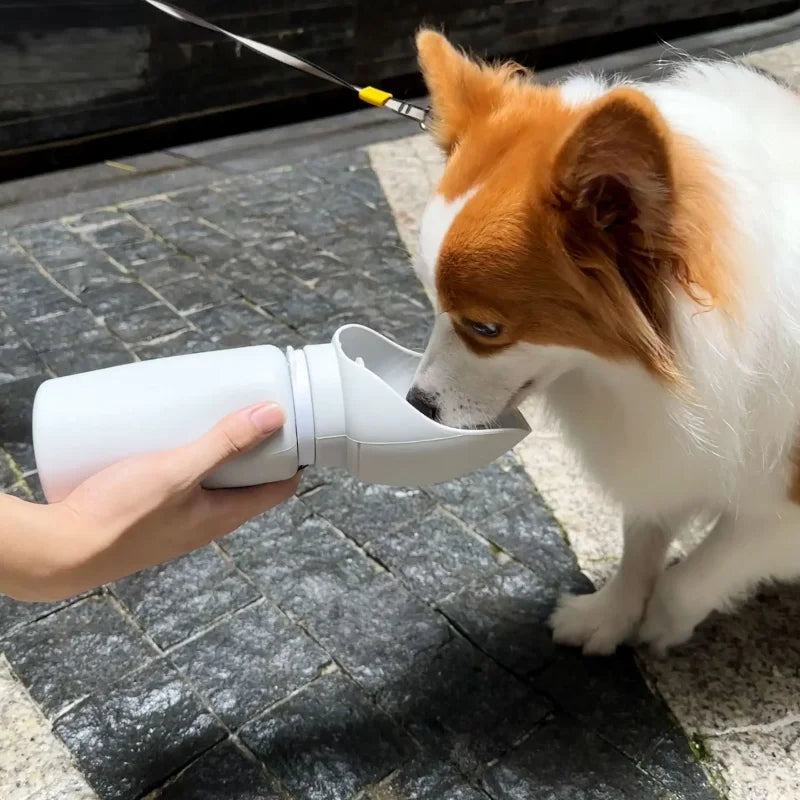 Foldable Pet Travel Water Cup