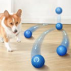 Smart Interactive Moving Pet Ball