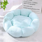Flower-Shaped Cozy Pet Bed