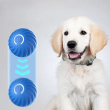 Smart Interactive Moving Pet Ball