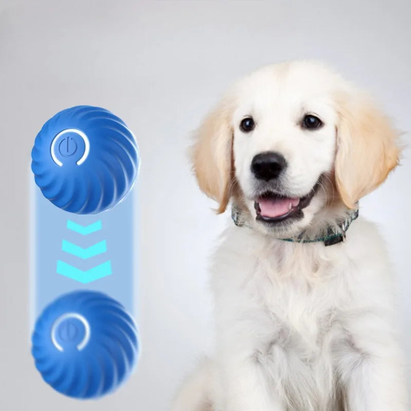 Smart Interactive Moving Pet Ball