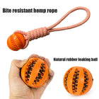Interactive Cotton Rope Treat Ball