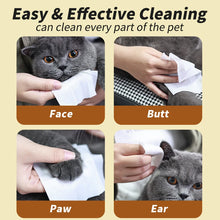 Disposable Pet Cleaning Wipes