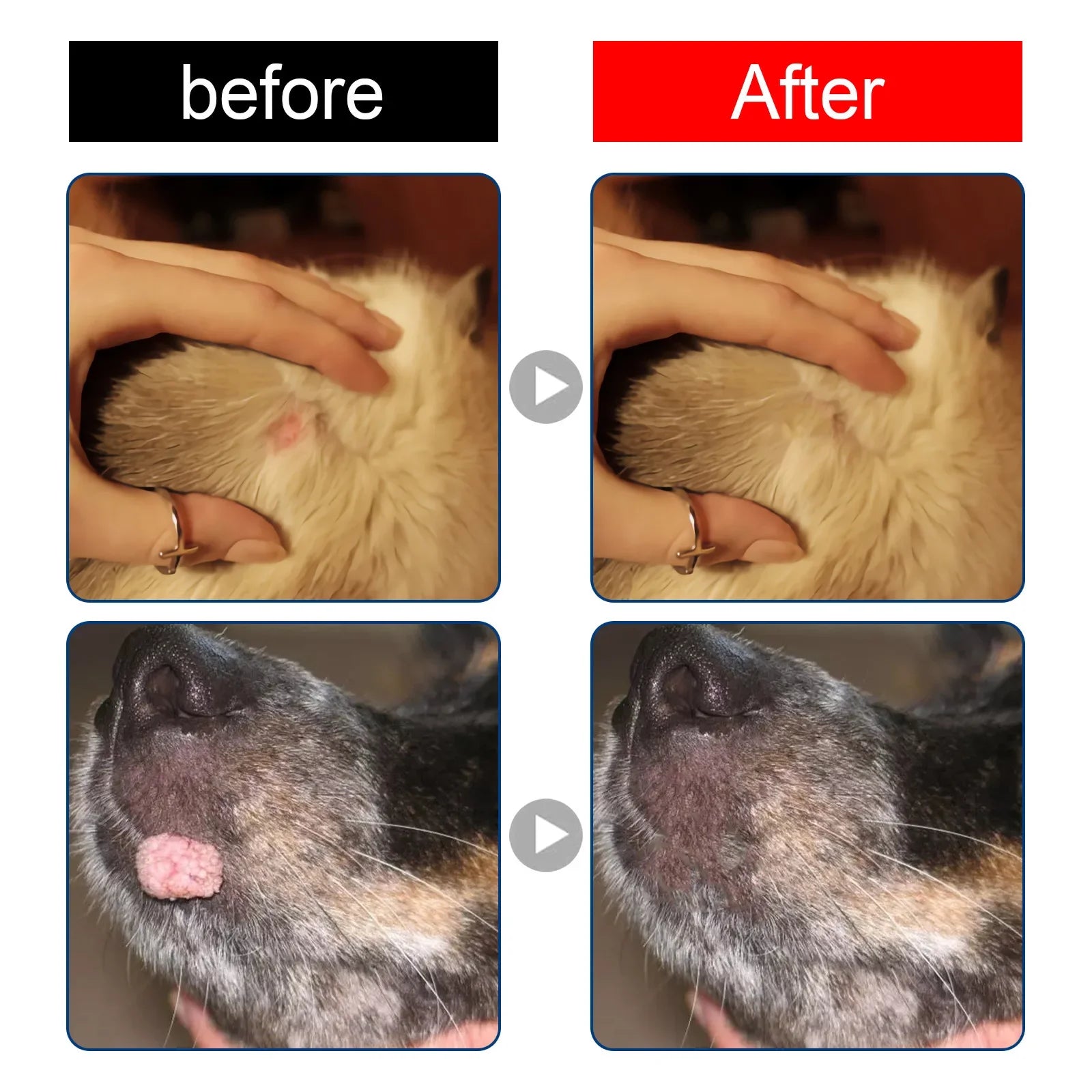 Pet Skin Care Nourishing Liquid