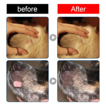 Pet Skin Care Nourishing Liquid